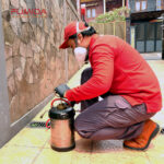 treatment pembasmi kecoa