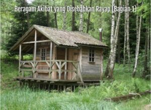 beragam akibat yang disebabkan rayap