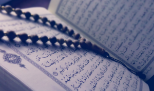 Cara Mengusir Cicak dalam Islam