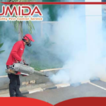 Gambar 3 - Cara membasmi nyamuk dengan cepat dan tuntas