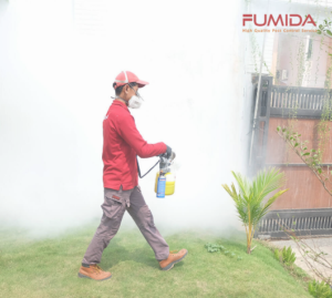 10 Cara Alami Membasmi Cicak di Rumah