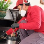 Alasan Memilih Jasa FUMIDA Untuk Basmi Serangga Di Rumah